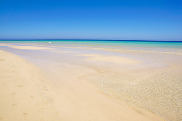 Beautiful white sand beach and Canary island , Fuerteventura sea.