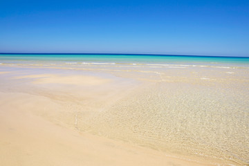 Fototapeta na wymiar Beautiful white sand beach and Canary island , Fuerteventura sea.