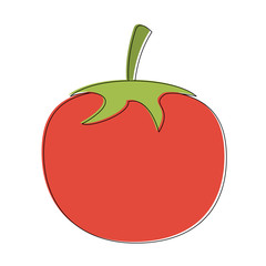 Tomato vegetable isolated vector illustration graphic design