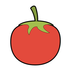 Tomato vegetable isolated vector illustration graphic design