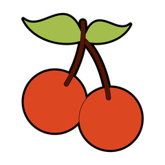 Cherries sweet fruits vector illustration graphic design