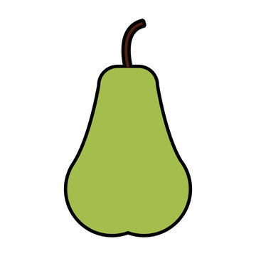 Pear sweet isolated vector illustration graphic design