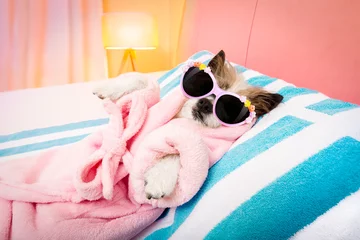 Zelfklevend Fotobehang Grappige hond dog spa wellness salon