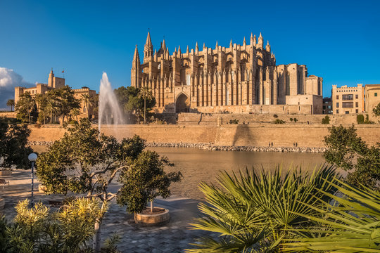 La Seu, gothic cathedral built on a previous mosque, Parc de la Mar (Park of the Sea), Palma de Mallorca (Majorca), Balearic Islands, Spain