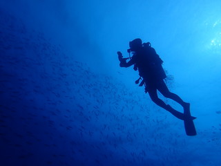scuba diver