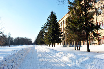 Road along white brick building and line of pine trees, winter sunny sky, horizontal