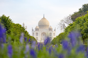 Fototapeta na wymiar Amazing view of Taj Mahal in the Evening in Agra, Fabulous Taj Mahal