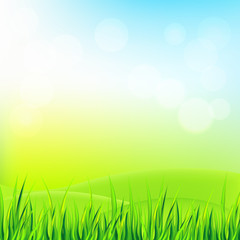 Fototapeta na wymiar Nature background with grass, leaves and sky. Vector illustration. 