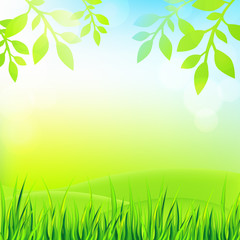 Nature background with grass, leaves and sky. Vector illustration.
