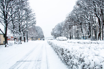 Morning in the Park after a heavy night snowfall, all covered with snow.