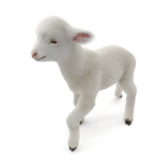 Lamb standing up, isolated on a white. 3D illustration