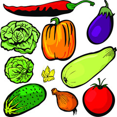  Cucumber, tomato, pepper on a white background