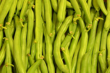 
Bean pods are stacked parallel to each other as a background.