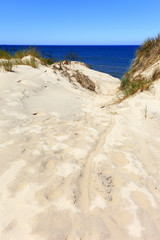 Fototapeta na wymiar Grassy sand dunes and beach of Baltic Sea central shore near town of Rowy in Poland