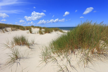 Grassy sand dunes and beach of Baltic Sea central shore near town of Rowy in Poland - obrazy, fototapety, plakaty
