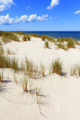 Grassy sand dunes and beach of Baltic Sea central shore near town of Rowy in Poland
