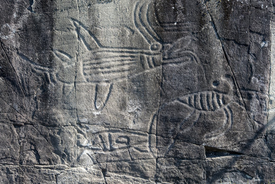 Petroglyphs at Sproat Lake, Vancouver island, British Columbia, Canada