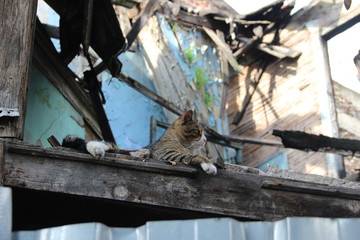 Keep cool &agrave; Istanbul