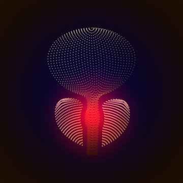 Vector isolated prostate with pain center. 3D white human organ . Medicine concept with line. vector illustration of prostatitis. sexual infections, prostate.
