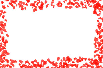 tulip, vignette, frame