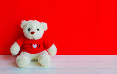 Obraz premium bear doll