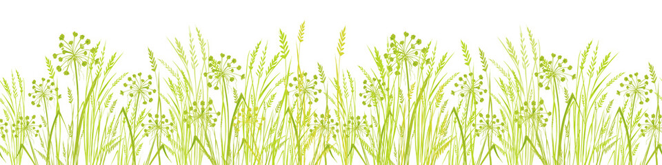 Green Grass. Long format. Wild design. EPS Vector illustration