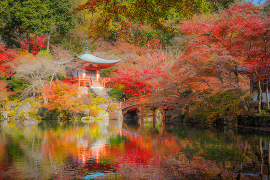 Autumn season, The leave change color of red in Temple , Daigoji Temple, Kyoto Japan.