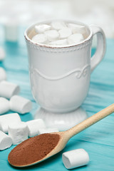 Cup Of Cocoa And Marshmallow.