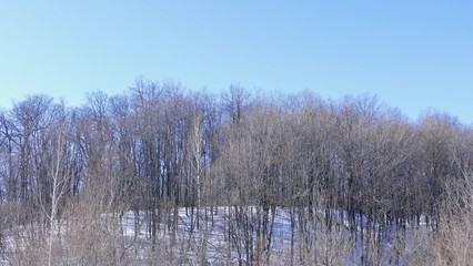 winter snowy landscape