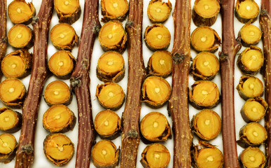 Текстура со срезанных веток © Сергей Заноза