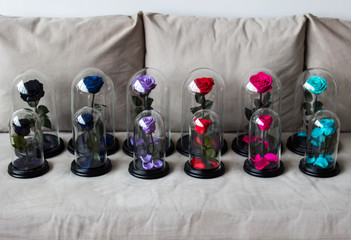 Several roses in a flask. Long-lasting rose. Preserved