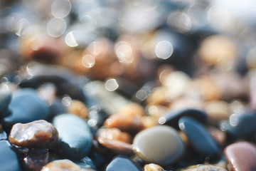 Abstraction of circles on a blurred background.