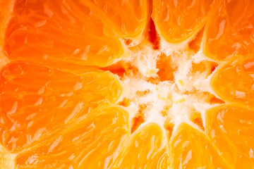 Close up on an orange