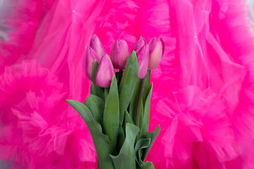 a bouquet of pink spring live tulips against the background of a pink tulle skirt with frills