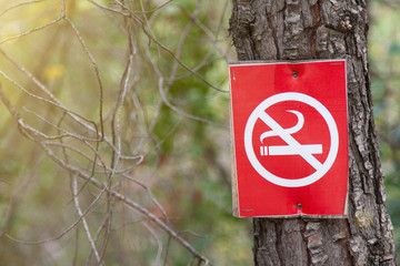 A red sign with a crossed smoking cigarette (smoking is forbidden) is nailed to the trunk of a tree