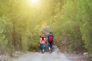 Obraz premium A loving couple is walking along a loose road holding hands. Green alley