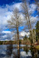 white clouds over lake