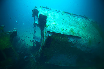 shipwreck, diving on a sunken ship, underwater landscape