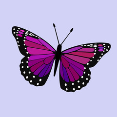 Purple Violet Winged Butterfly Digital Graphic
