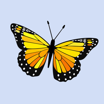 Yellow Winged Butterfly Digital Gaphic Design