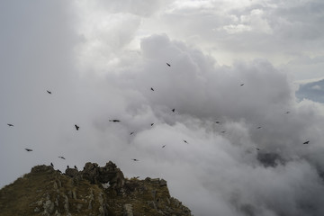 In volo