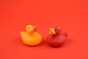 Cute little rubber ducks isolated on red background stock photo images. Toy rubber duck on a red background. Red and yellow rubber duck. Couple of ducks stock photo