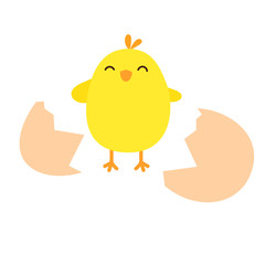 Happy chicken with the broken egg