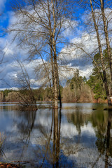 Fototapeta na wymiar cloudy skies reflected in lake