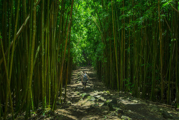 Hiking trough the Bamboo Forest in Maui