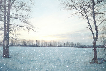 winter field trees sky background