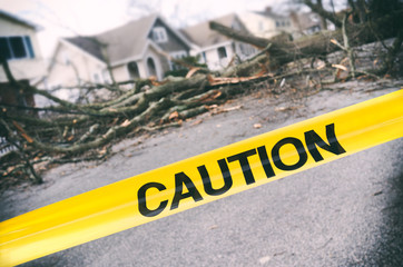 Wind storm damage