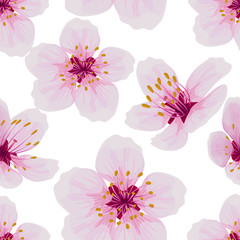Naklejka na ściany i meble Sakura flower, cherry. Seamless pattern on white background.Vector illustration.