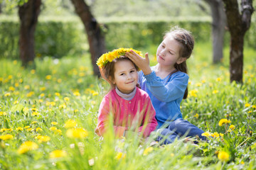 two sisters play on a green meadow and weave wreaths on a head from flowers