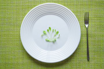 The humorous concept of Haute cuisine. Young salad on a white plate. 
